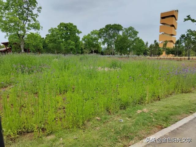 下面连在一起写作业下面连在一起写作业 别拿出来就尿在里面hl，下面连在一起写作业 别拿出来就尿在里面h？