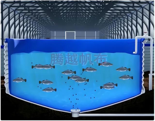 工厂化水产养殖设备价格（工厂化水产养殖设备厂家）