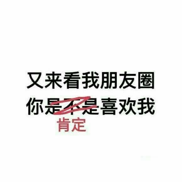 朋友圈被官方屏蔽了,无法投诉（朋友圈被官方屏蔽了,多久可以正常使用）