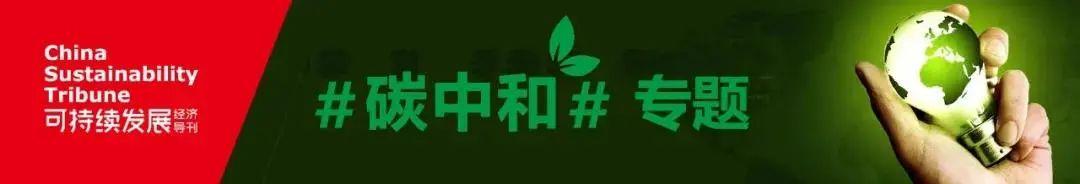 碳中和项目有哪些（碳中和项目怎么做）