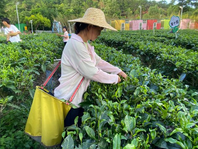 020年宝妈在家做什么生意，现在宝妈适合做什么生意"