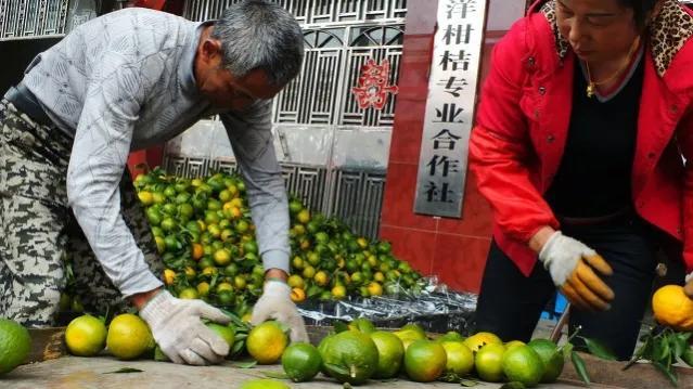 印刷项目实施方案模板范文，印刷项目实施方案模板范文大全？