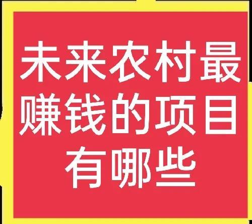 022年在农村做什么生意最赚钱最长远，2022年在农村做什么生意最赚钱最长远呢？"