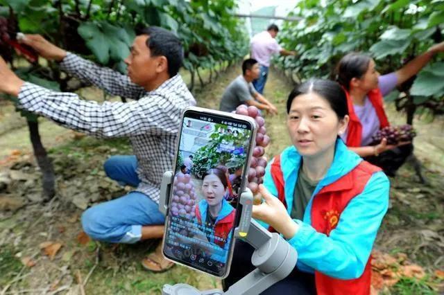 022年在农村做什么生意最赚钱最长远，2022年在农村做什么生意最赚钱最长远呢？"