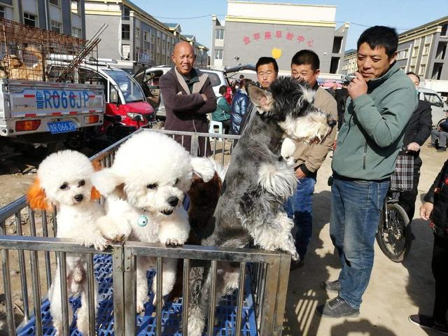 022年在农村做什么生意最赚钱最长远，2022年在农村做什么生意最赚钱最长远呢？"