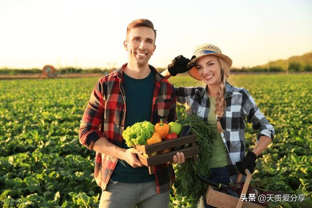 中视频计划能赚钱吗，中视频计划能赚钱吗？