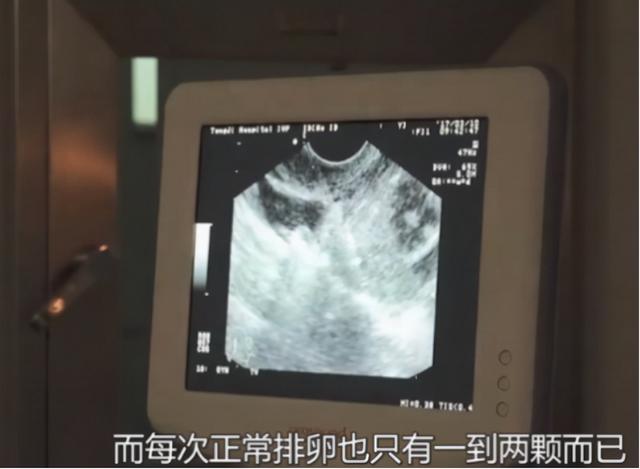 女大学生秘密兼职直播视频观看，女大学生秘密兼职直播视频下载？