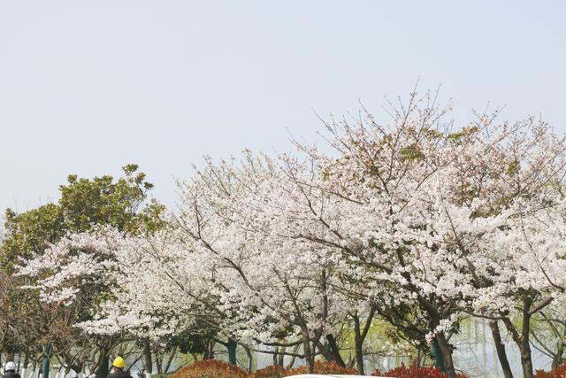 一句简短的湖景句子，美景图片大全自然景象？