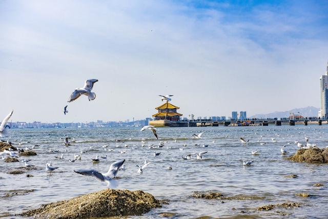 直播背景怎么做虚拟场景，直播背景怎么做虚拟场景？