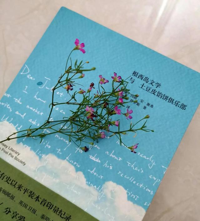 二手交易平台闲鱼app下载王大苗小仙女，二手交易平台闲鱼app下载内衣架？