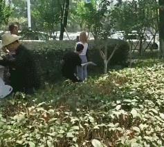眼下最赚钱的路子，居然是直播打屁股
